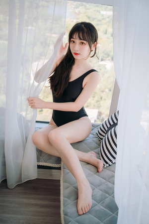 野兽们的战争